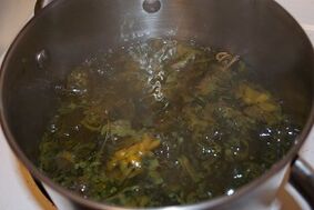 pengobatan varises dengan ramuan